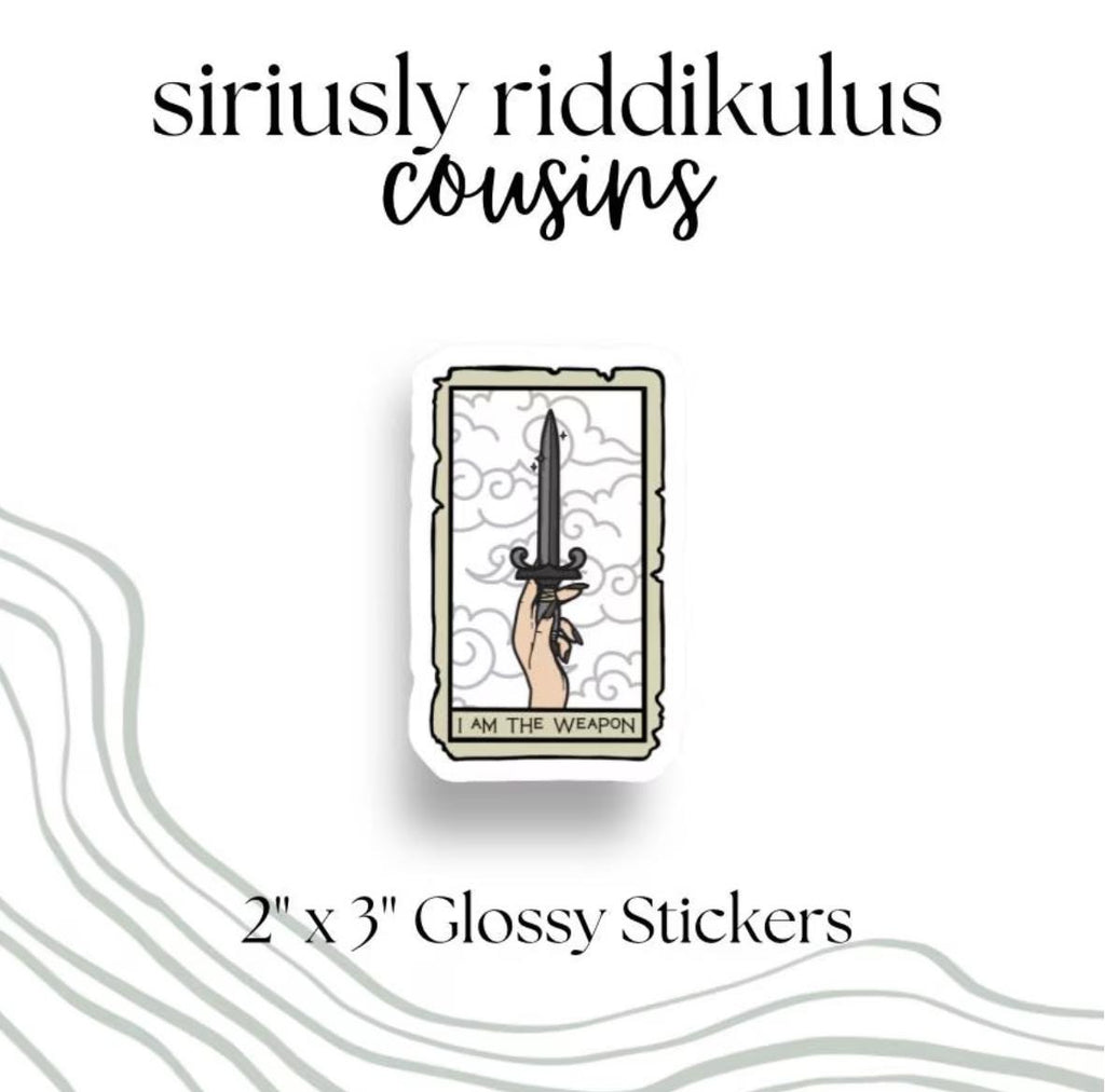Dragon Rider Sticker Pack |Romantasy Bookish Decal (2.5-inch)