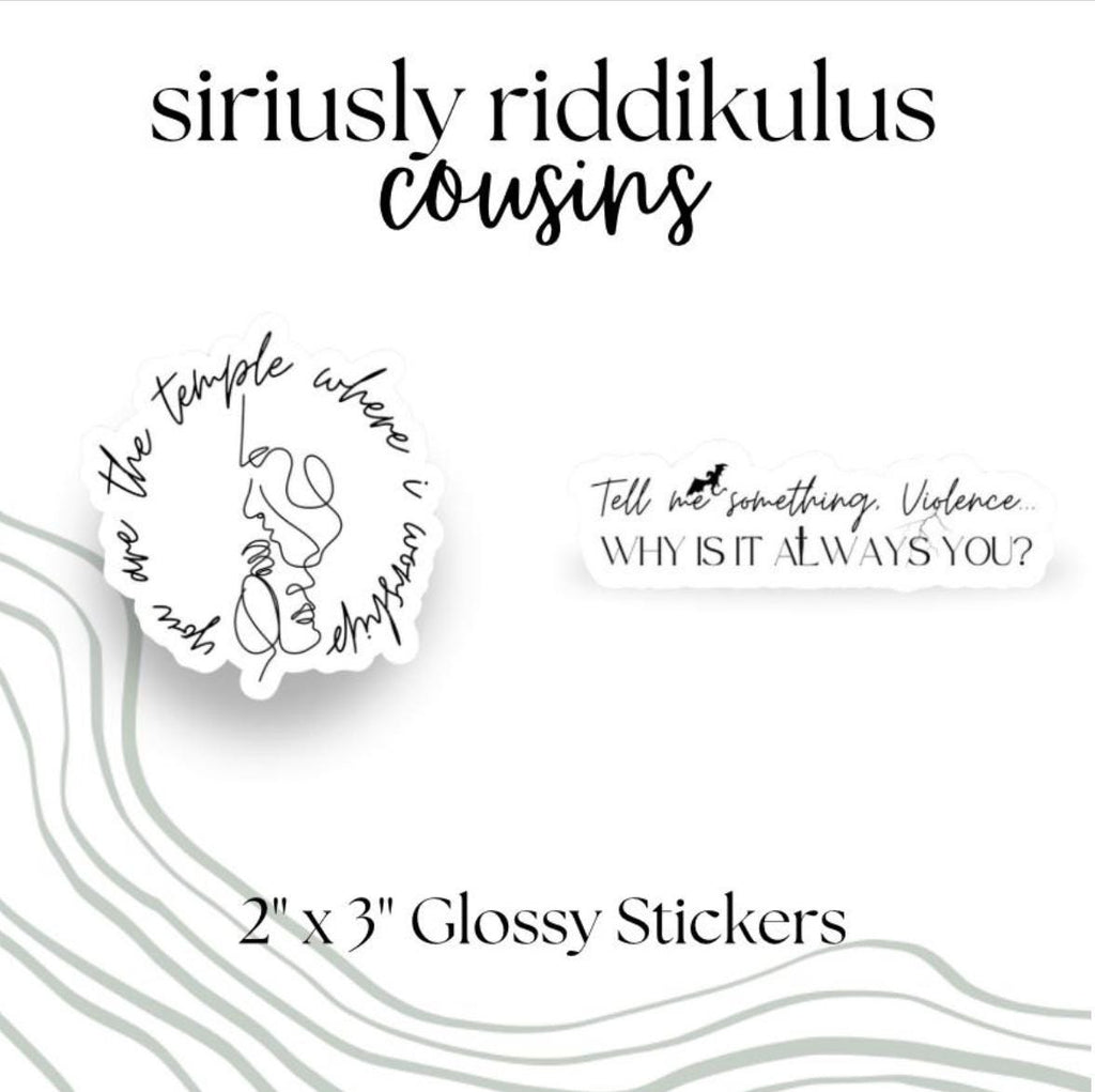 Dragon Rider Sticker Pack |Romantasy Bookish Decal (2.5-inch)